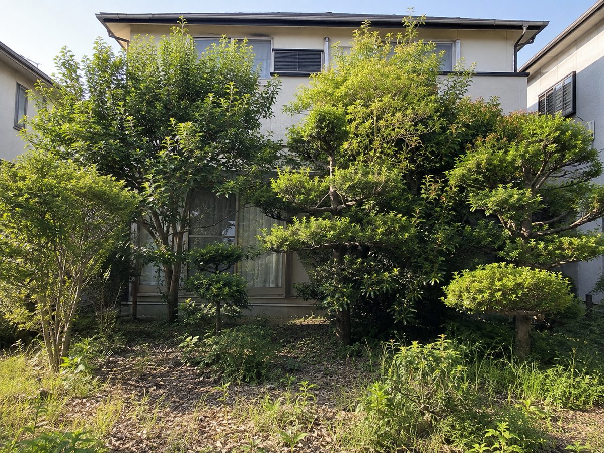 剪定前の庭木