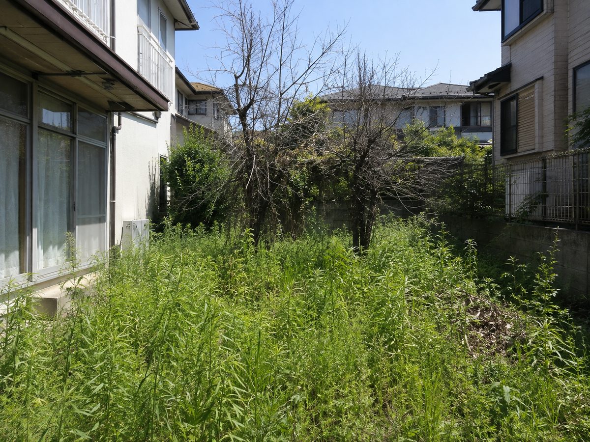 手入れ前の庭